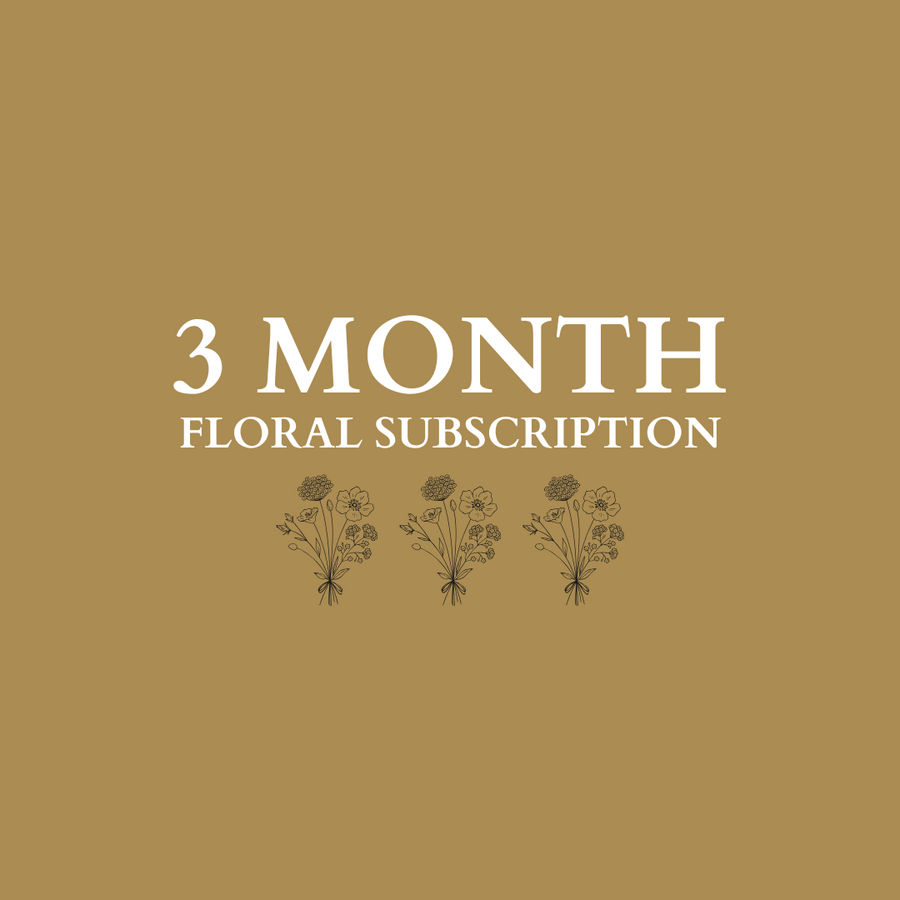 3 Month Subscription