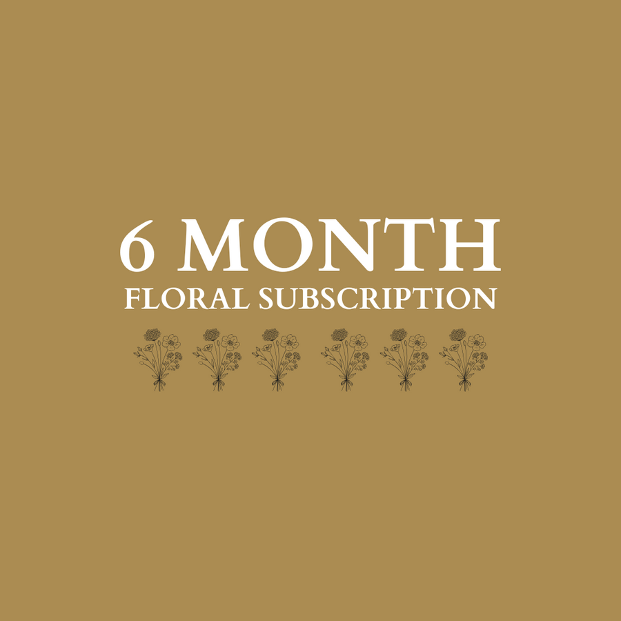 6 Month Subscription