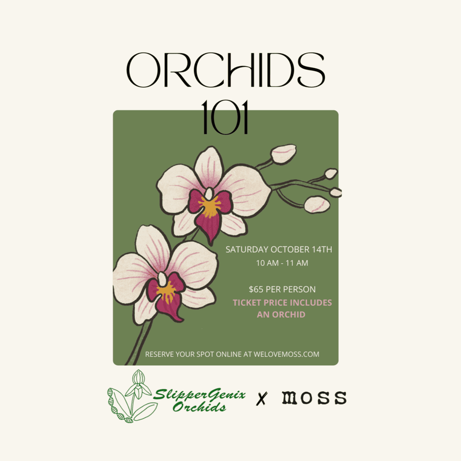 Orchids 101 Class