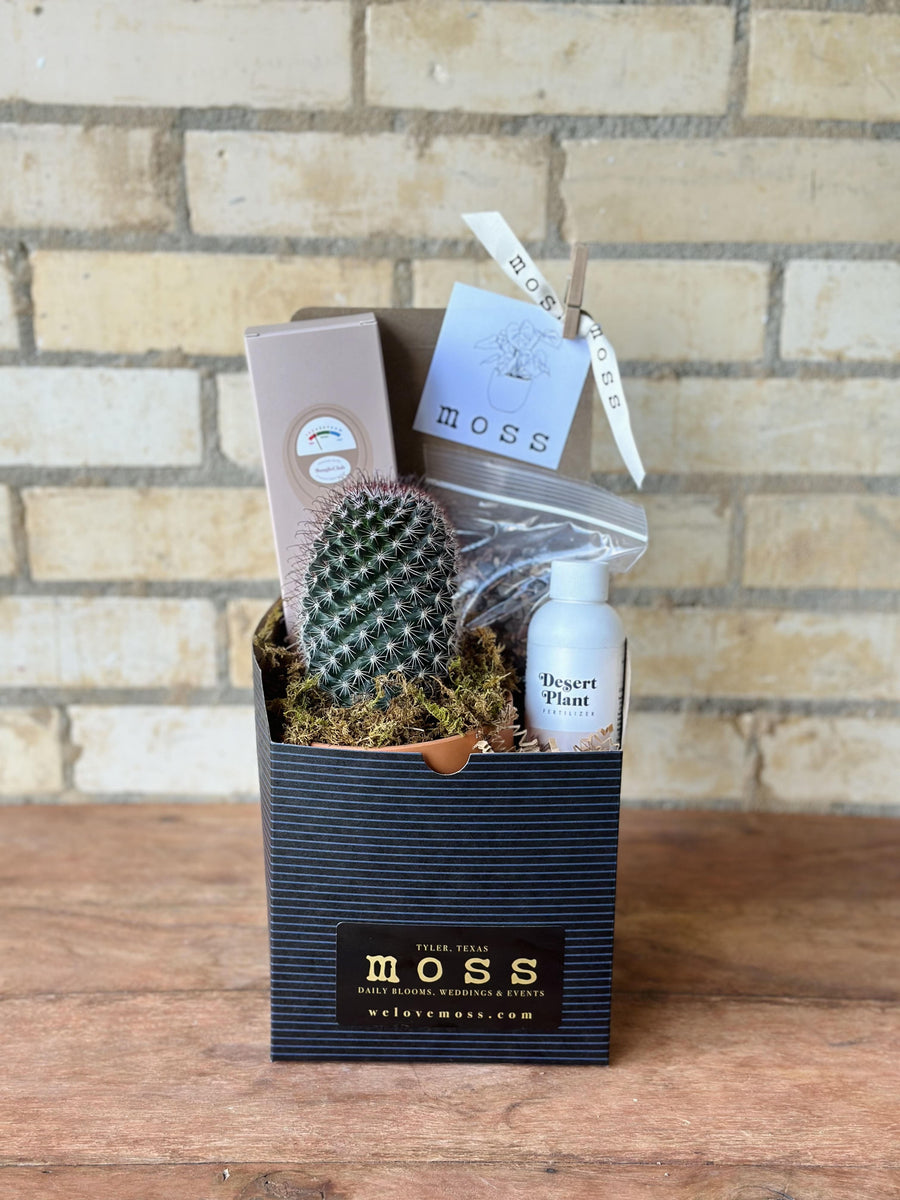 Desert Plant Care Box