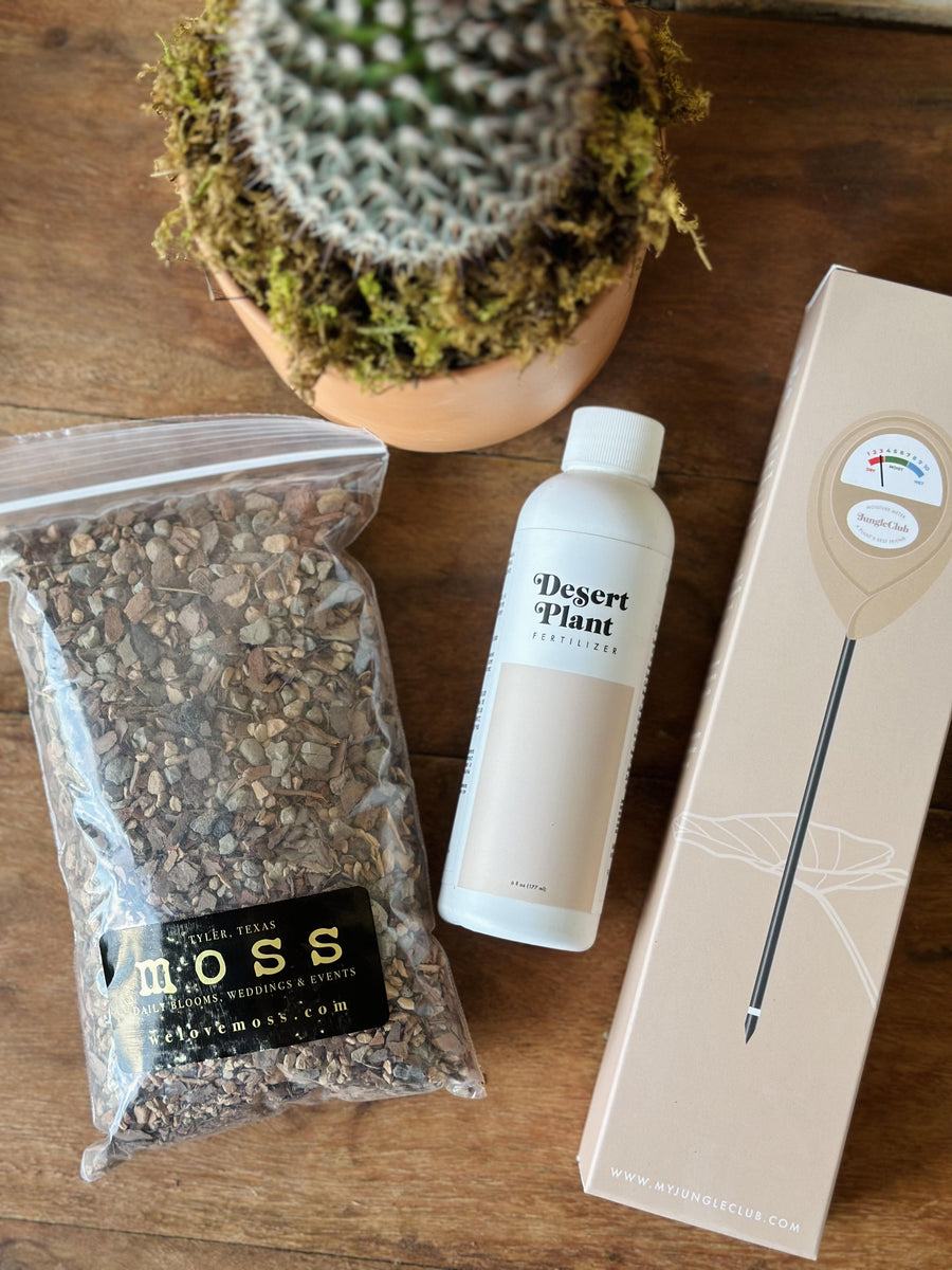 fertilizing desert plants Desert Plant Care Box – Moss Flower Shop
