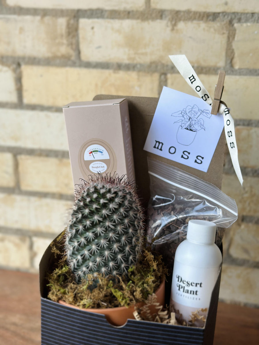 Desert Plant Care Box