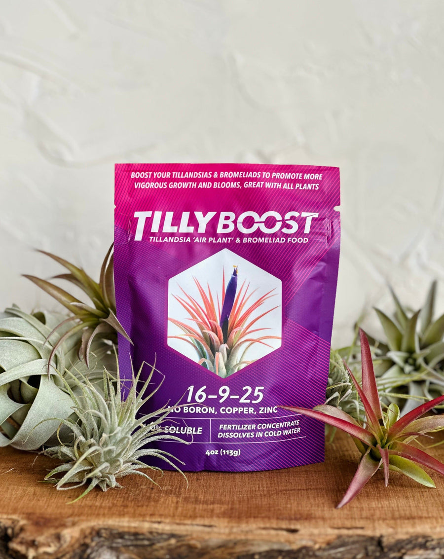 plant food supplied by air Tilly Boost Air Plant and Bromeliad Food – Moss Flower Shop